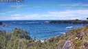 ./images/calvert/foggy-cove/20260605/foggy-cove20260605_143501M.jpg