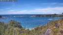 ./images/calvert/foggy-cove/20260605/foggy-cove20260605_144002M.jpg
