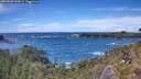 ./images/calvert/foggy-cove/20260605/foggy-cove20260605_144502M.jpg