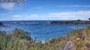 ./images/calvert/foggy-cove/20260605/foggy-cove20260605_145001M.jpg