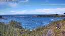./images/calvert/foggy-cove/20260605/foggy-cove20260605_145501M.jpg