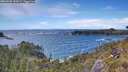 ./images/calvert/foggy-cove/20260605/foggy-cove20260605_152001M.jpg