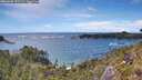 ./images/calvert/foggy-cove/20260605/foggy-cove20260605_152502M.jpg