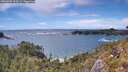 ./images/calvert/foggy-cove/20260605/foggy-cove20260605_153001M.jpg