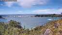 ./images/calvert/foggy-cove/20260605/foggy-cove20260605_153501M.jpg