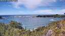 ./images/calvert/foggy-cove/20260605/foggy-cove20260605_154001M.jpg