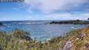 ./images/calvert/foggy-cove/20260605/foggy-cove20260605_154502M.jpg