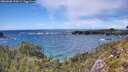 ./images/calvert/foggy-cove/20260605/foggy-cove20260605_155001M.jpg
