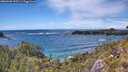 ./images/calvert/foggy-cove/20260605/foggy-cove20260605_155501M.jpg