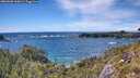 ./images/calvert/foggy-cove/20260605/foggy-cove20260605_160001M.jpg