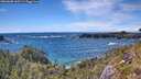 ./images/calvert/foggy-cove/20260605/foggy-cove20260605_160501M.jpg