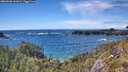 ./images/calvert/foggy-cove/20260605/foggy-cove20260605_161001M.jpg