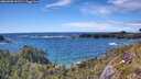 ./images/calvert/foggy-cove/20260605/foggy-cove20260605_162501M.jpg