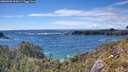 ./images/calvert/foggy-cove/20260605/foggy-cove20260605_164501M.jpg
