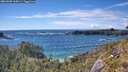 ./images/calvert/foggy-cove/20260605/foggy-cove20260605_165001M.jpg