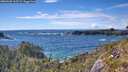 ./images/calvert/foggy-cove/20260605/foggy-cove20260605_165501M.jpg