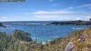 ./images/calvert/foggy-cove/20260605/foggy-cove20260605_170502M.jpg