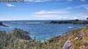 ./images/calvert/foggy-cove/20260605/foggy-cove20260605_171001M.jpg