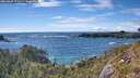 ./images/calvert/foggy-cove/20260605/foggy-cove20260605_171502M.jpg