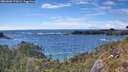 ./images/calvert/foggy-cove/20260605/foggy-cove20260605_172001M.jpg