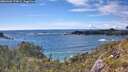 ./images/calvert/foggy-cove/20260605/foggy-cove20260605_173001M.jpg