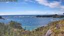 ./images/calvert/foggy-cove/20260605/foggy-cove20260605_173501M.jpg