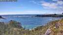 ./images/calvert/foggy-cove/20260605/foggy-cove20260605_174001M.jpg