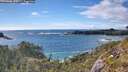./images/calvert/foggy-cove/20260605/foggy-cove20260605_174501M.jpg