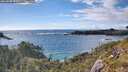 ./images/calvert/foggy-cove/20260605/foggy-cove20260605_175501M.jpg