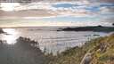 ./images/calvert/foggy-cove/20260605/foggy-cove20260605_201002M.jpg