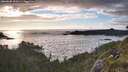 ./images/calvert/foggy-cove/20260605/foggy-cove20260605_202001M.jpg