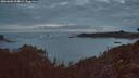 ./images/calvert/foggy-cove/20260606/foggy-cove20260606_044002M.jpg