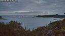 ./images/calvert/foggy-cove/20260606/foggy-cove20260606_044501M.jpg
