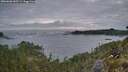 ./images/calvert/foggy-cove/20260606/foggy-cove20260606_045502M.jpg