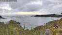 ./images/calvert/foggy-cove/20260606/foggy-cove20260606_054001M.jpg