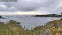 ./images/calvert/foggy-cove/20260606/foggy-cove20260606_054501M.jpg