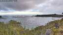 ./images/calvert/foggy-cove/20260606/foggy-cove20260606_055501M.jpg