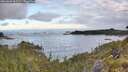 ./images/calvert/foggy-cove/20260606/foggy-cove20260606_061501M.jpg