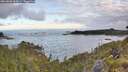 ./images/calvert/foggy-cove/20260606/foggy-cove20260606_062001M.jpg