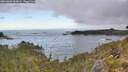 ./images/calvert/foggy-cove/20260606/foggy-cove20260606_065002M.jpg