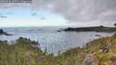 ./images/calvert/foggy-cove/20260606/foggy-cove20260606_065501M.jpg
