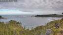 ./images/calvert/foggy-cove/20260606/foggy-cove20260606_072002M.jpg