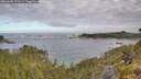 ./images/calvert/foggy-cove/20260606/foggy-cove20260606_072501M.jpg