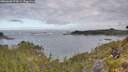 ./images/calvert/foggy-cove/20260606/foggy-cove20260606_073001M.jpg