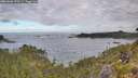 ./images/calvert/foggy-cove/20260606/foggy-cove20260606_073501M.jpg
