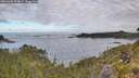 ./images/calvert/foggy-cove/20260606/foggy-cove20260606_074001M.jpg