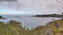 ./images/calvert/foggy-cove/20260606/foggy-cove20260606_074501M.jpg