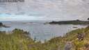 ./images/calvert/foggy-cove/20260606/foggy-cove20260606_075001M.jpg