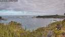./images/calvert/foggy-cove/20260606/foggy-cove20260606_080001M.jpg