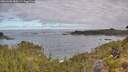 ./images/calvert/foggy-cove/20260606/foggy-cove20260606_080501M.jpg